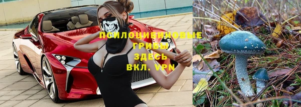 первитин Алексеевка
