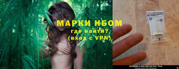 молекула духа Алзамай