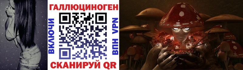 Псилоцибиновые грибы Magic Shrooms Майкоп