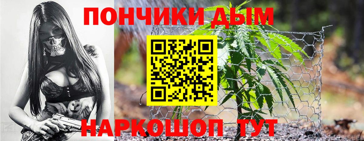 Бошки Шишки MAZAR Майкоп