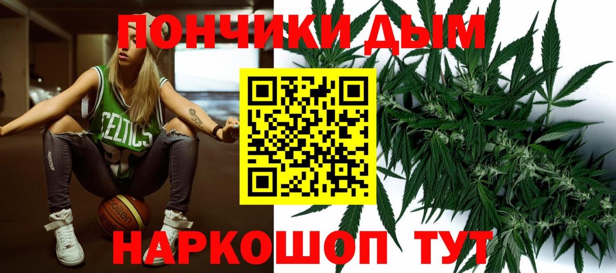 Канабис сатива  Шишки марихуана планчик  Майкоп  Марихуана план  Канабис THC 21%  Вход с VPN 